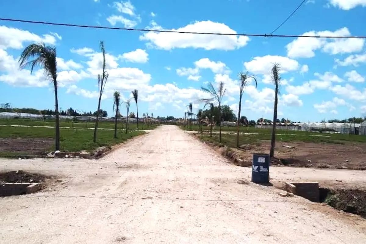 Calle de entrada del barrio Sophenia, de La Plata