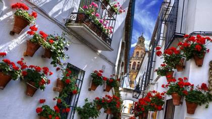 Calles de Córdoba, en Andalucía, llenas de macetas con geranios