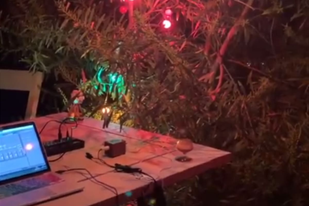 Calo Rivero hace música con plantas y grillos