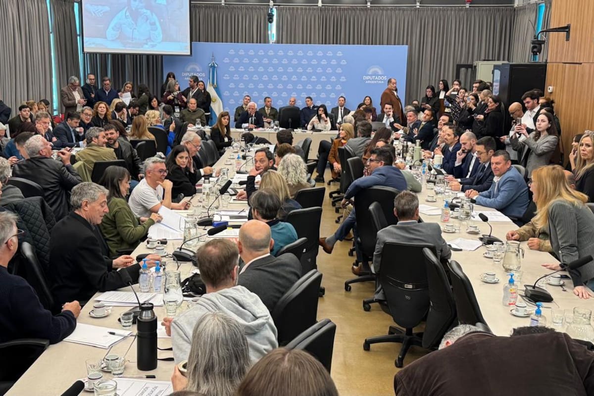 Cámara de Diputados. Debate en comisiones del proyecto de Ley de Defensa de la Soberanía Nacional, conocido como la "Ley Malvinas".