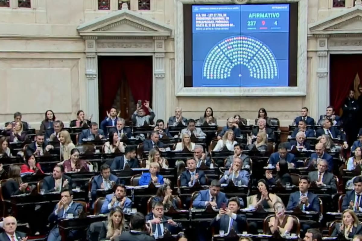 EL GOBIERNO APROBÓ SU PROYECTO DE DISCAPACIDAD CON RESPALDO DEL PERONISMO EN DIPUTADOS