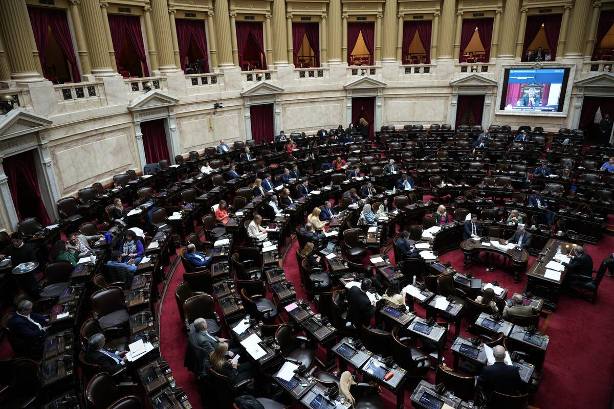 Cámara de Diputados en el Congreso de la Nación