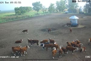 Cámaraswifi presenta su nuevo modelo de sistemas autónomos.