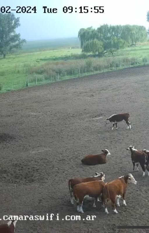 Cámaraswifi presenta su nuevo modelo de sistemas autónomos.