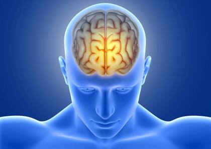 Cambiar las velocidades de audio o video es una técnica potencialmente negativa para el cerebro, ya que genera una sobrecarga cognitiva