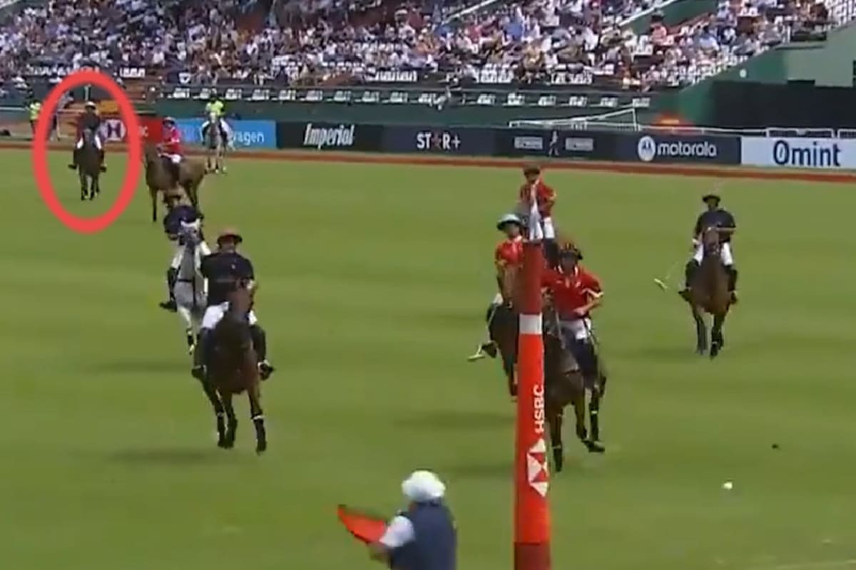 Cambiaso contempla su golazo ante La Irenita: le pegó desde unas 120 yardas, sobre las tablas