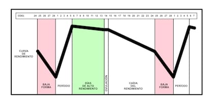 Cambios hormonales y ejercicio físico