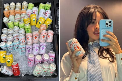Camila Cabello es una de las celebridades que invirtió en la compañía