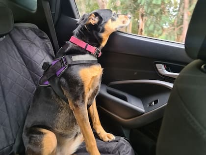Camila es parte de las vacaciones de su familia.