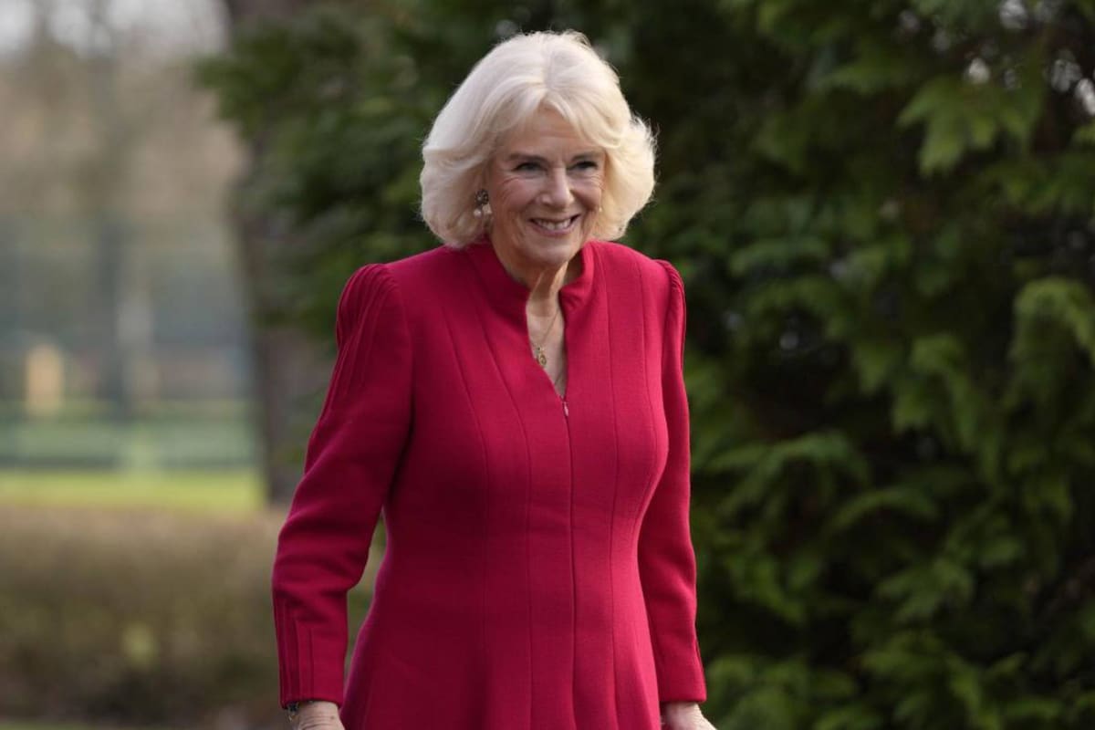 Camilla es la reina consorte del Reino Unido y de los otros catorce reinos que forman parte de la Mancomunidad de Naciones como esposa del rey Carlos III