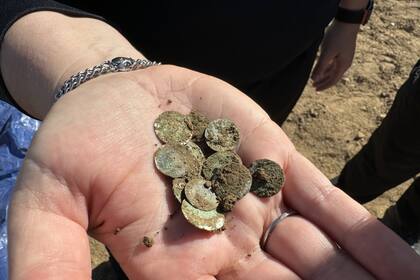 Caminaba por República Checo e hizo un hallazgo que dejó sin palabras a los expertos (Facebook @aru.avcr.praha)