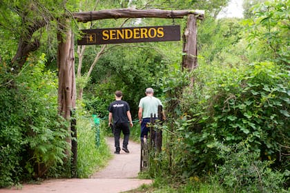 “Caminando por los senderos encontraremos los restos de un antiguo molino y la demarcación de los potreros a través de las ‘líneas de talas’, una sucesión de árboles que crecieron siguiendo las antiguas líneas de postes de alambrado”, describe Canteros