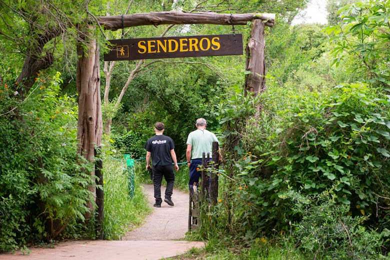 Parque Nacional Ciervo de los Pantanos: naturaleza, historia y paseos gratuitos a 70 km de Buenos Aires