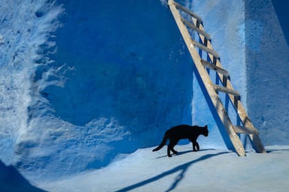 Caminar debajo de la escalera era considerado un acto de sacrilegio y atraía la mala suerte (y ni hablar del gato negro)
