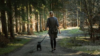 Caminar más de 6 mil pasos mejora nuestra calidad y nuestra expectativa de vida.