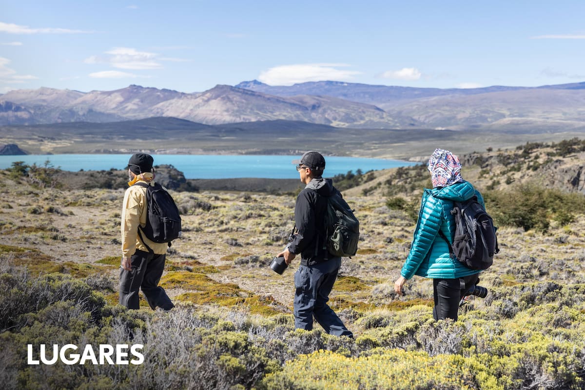 Variedad de escenarios en el PN Perito Moreno
