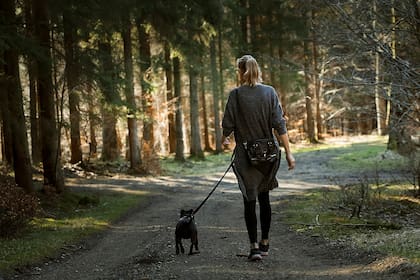 Caminar tiene múltiples beneficios para la salud (Foto ilustrativa: PIXABAY)