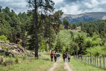 Caminata en El Durazno.