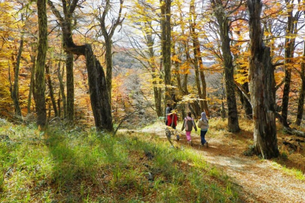 Caminata otoñal por los senderos de trekking que parten del refugio.