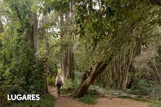 El tranquilo destino que combina pozones de agua turquesa, bosque y viñedos