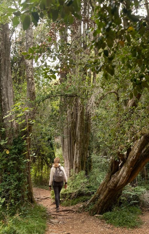 Caminata por el precioso sendero Pitranto Grande.