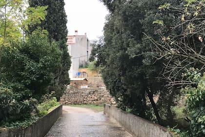 Camino a casa...