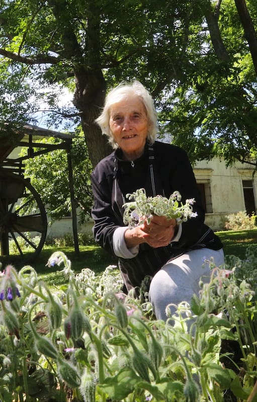 Donatella Petriella cautiva a los comensales con sus ravioles de borraja