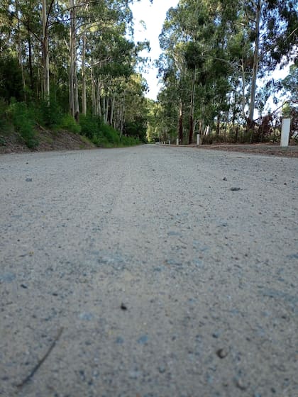 Camino "misterioso" o "encantado", el cual un auto en punto muerto suele moverse haca atrás en plena calle plana