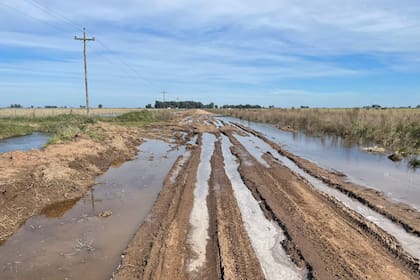 Camino rural de Bolívar