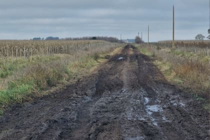 Camino rural en Balcarce