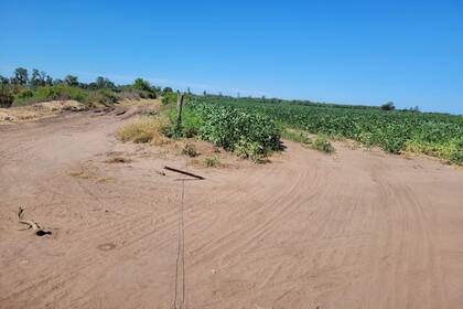 “Se fueron de mambo”: enojo y preocupación de productores en un partido bonaerense por subas de 613% en los tributos municipales “Se fueron de mambo”: enojo y preocupación de productores en un partido bonaerense por subas de 613% en los tributos municipales