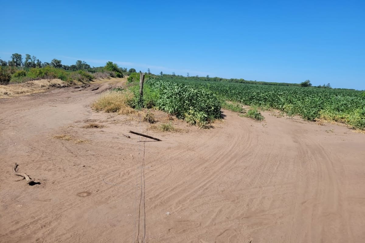 Camino rural en el partido de Leandro N Alem