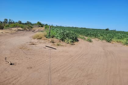 Camino rural en el partido de Leandro N Alem