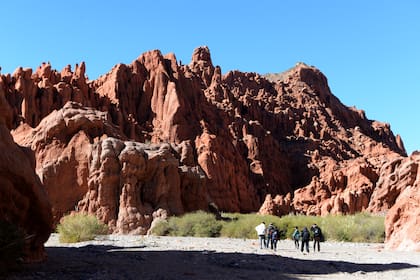 Caminos de montaña, quebradas, cerros de colores, altísimos cardones, formaciones inverosímiles y pueblos con encanto. Manejamos hasta el corazón de los andes norteños en una sucesión de paisajes abrumadores.