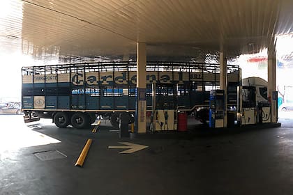 Camioneros: de héroes a amenaza