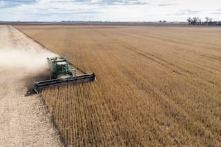 Agroindustria: regulaciones que afectan la eficiencia de la cadena