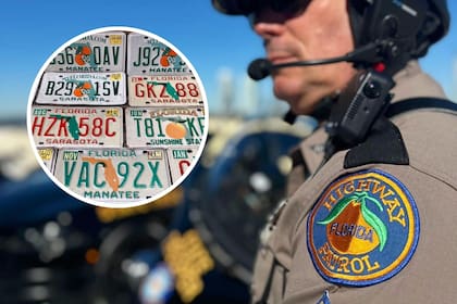 Campaña contra las placas "personalizadas" ilegales en Florida