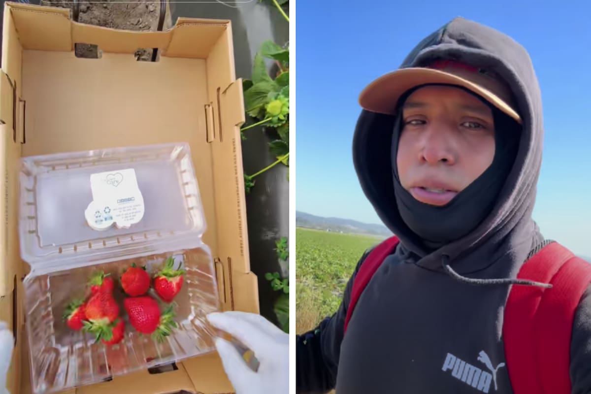 @campes1no vía TikTok