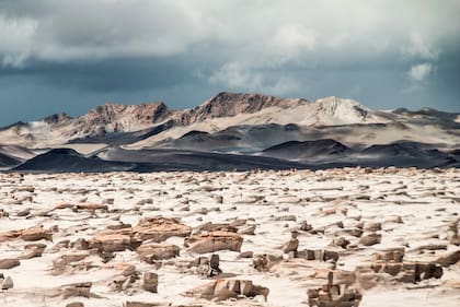 Campo de Piedra Pómez, Puna de Catamarca.