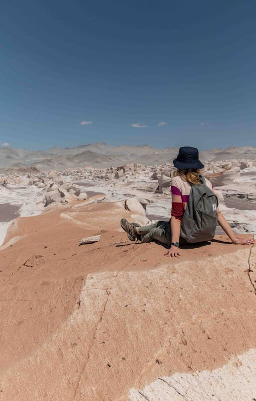 Campo de Piedra Pómez, uno de los hitos de la Puna catamarqueña.