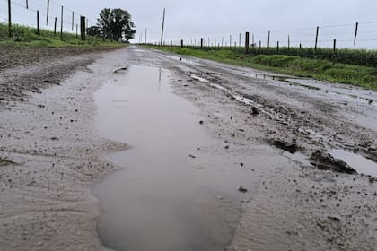 Campo en Cólon