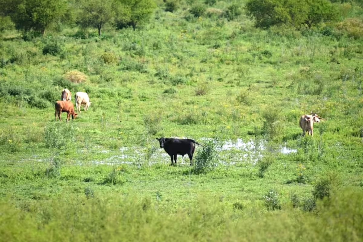 Campo en Entre Ríos