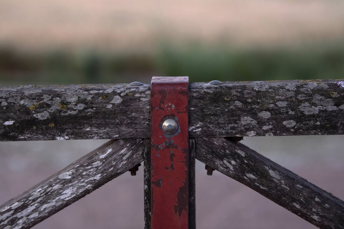 CAMPO Nota con Ana Boracchia que tiene un campo en Exaltacion de la Cruz
Ovejas Tranqueras Tractores tractor Molinos molino Atardecer
Vacas Mujeres de Campo
FOTO ALEJANDRO GUYOT