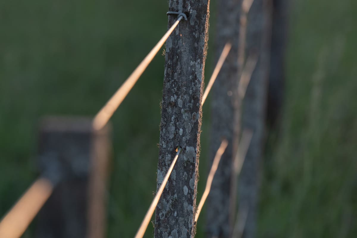 CAMPO Nota con Ana Boracchia que tiene un campo en Exaltacion de la Cruz
Ovejas Tranqueras Tractores tractor Molinos molino Atardecer
Vacas Mujeres de Campo
FOTO ALEJANDRO GUYOT