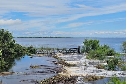 Campos de arroz bajo el agua en San Roque, Corrientes