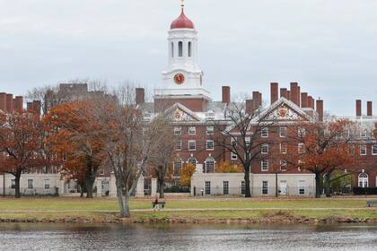 Campus de la Universidad de Harvard en Cambridge, Massachusetts. (AP Foto/Lisa Poole, Archivo)