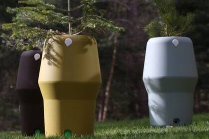 Canada inauguró el primer cementerio ecológico para la siembra de árboles con los restos de seres queridos