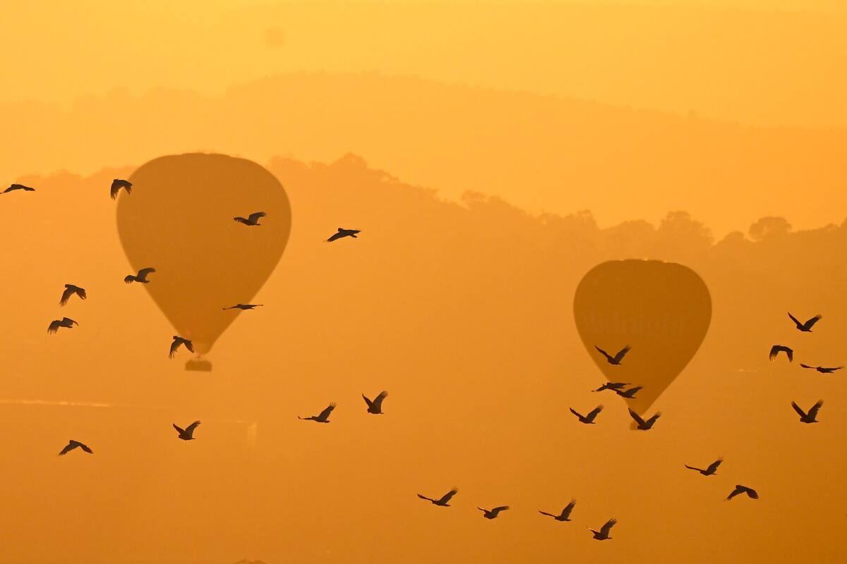 Canberra, Australia. Edición fotográfica de Jesica Rizzo