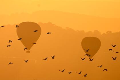 Canberra, Australia. Edición fotográfica de Jesica Rizzo