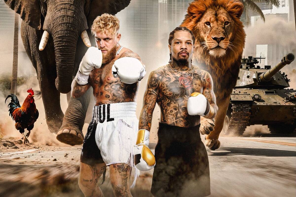 Cancelan la pelea de Jake Paul y Gervonta Davis (X @jakepaul)